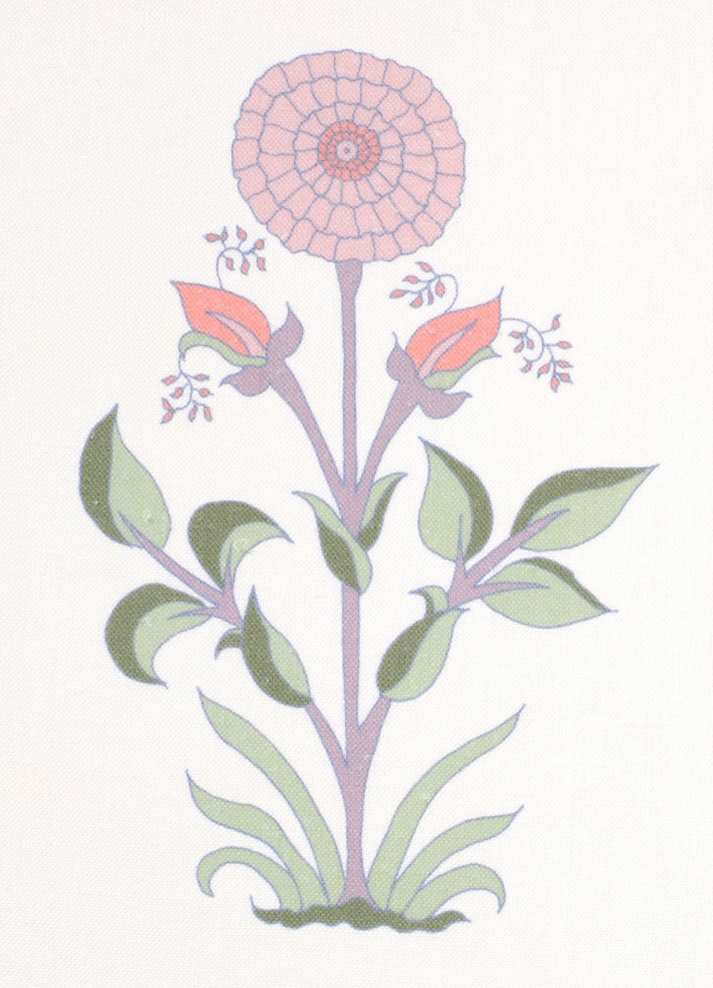 Alex Conroy Fabric