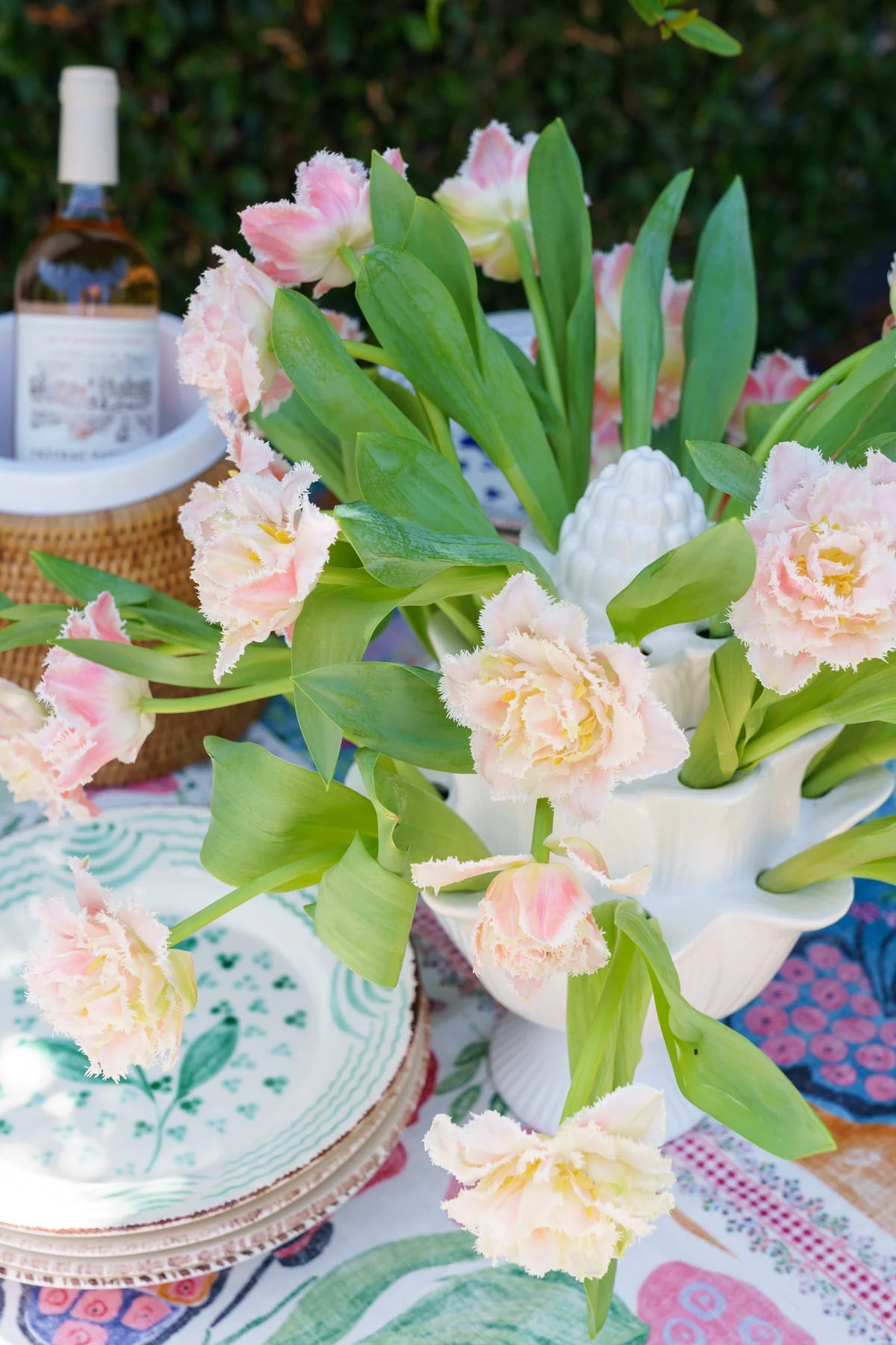 Artichoke Tulipiere, White