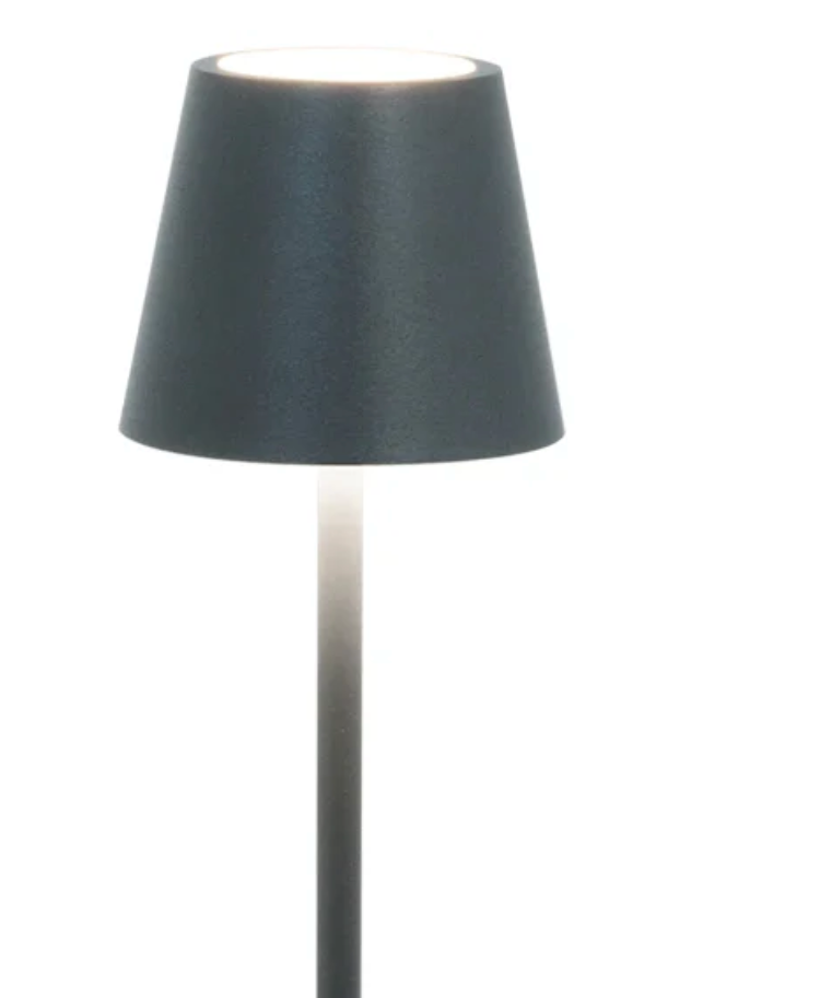 Zafferano Poldina Pro Micro