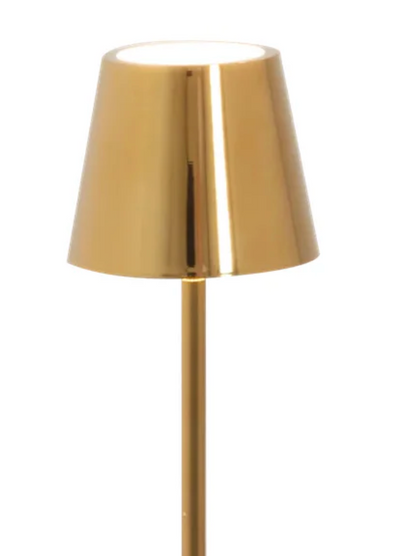 Zafferano Poldina Pro Micro