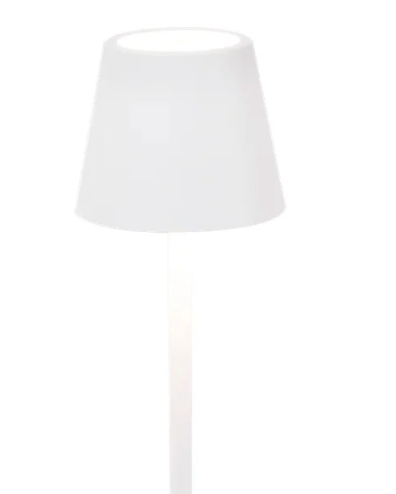 Zafferano Poldina Pro Micro