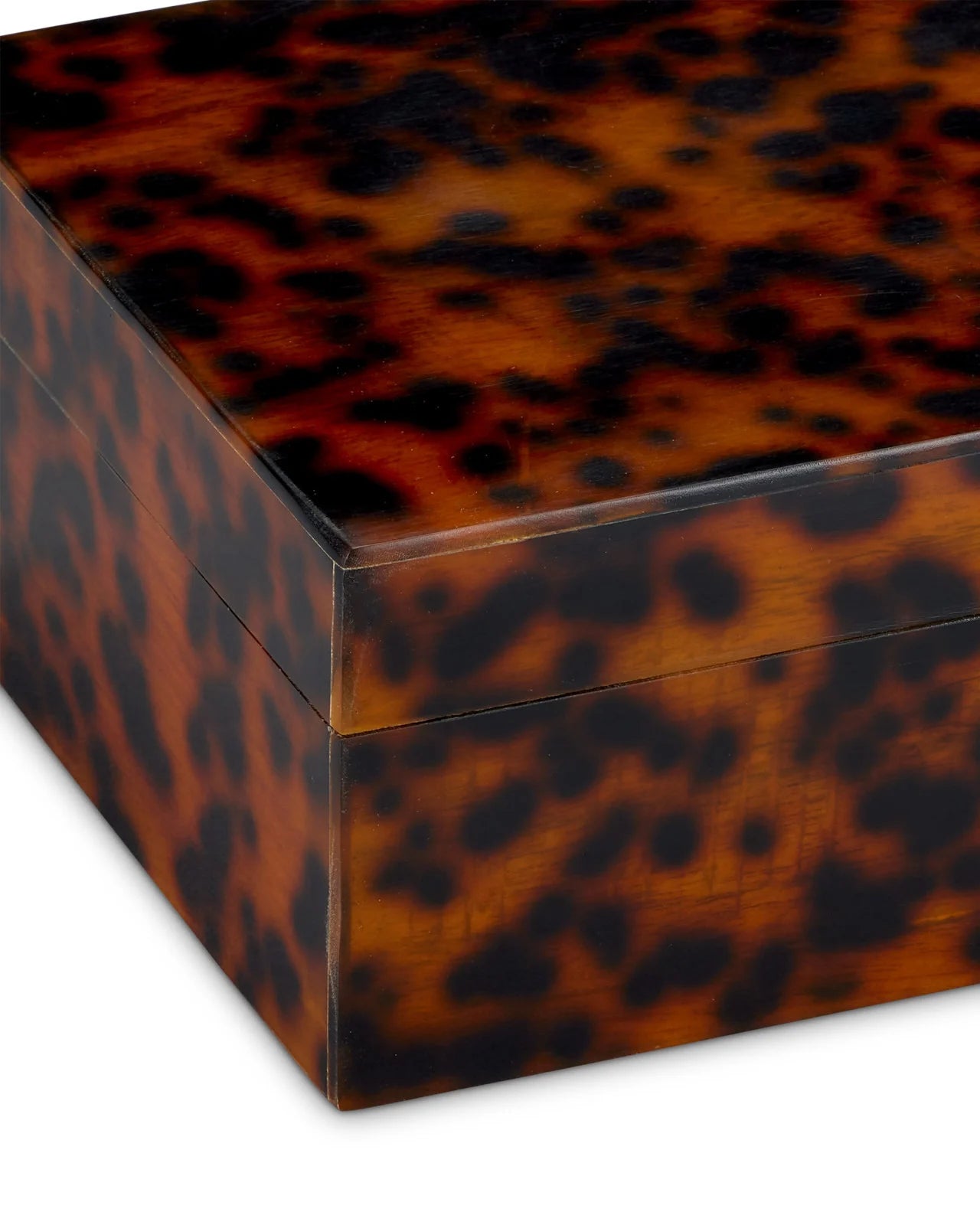 Faux Tortoise Decorative Box Set